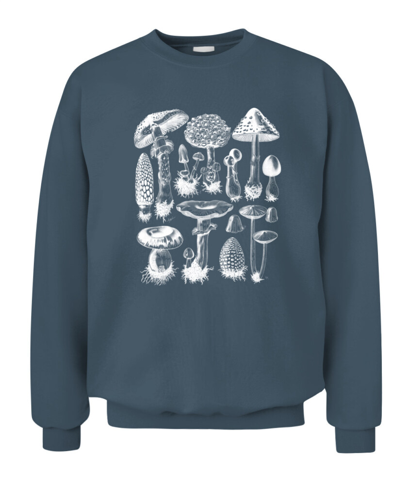 Property of Mushroom Research Unit – Vintage Fungi Specimen Art