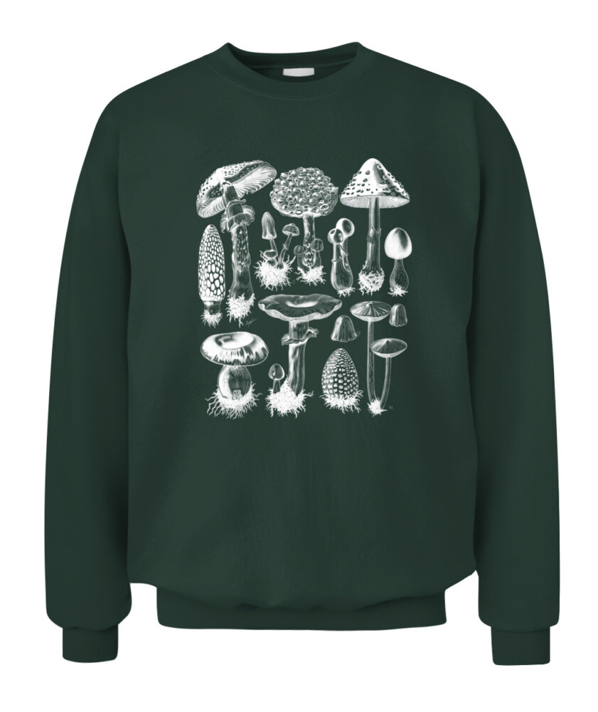 Property of Mushroom Research Unit – Vintage Fungi Specimen Art