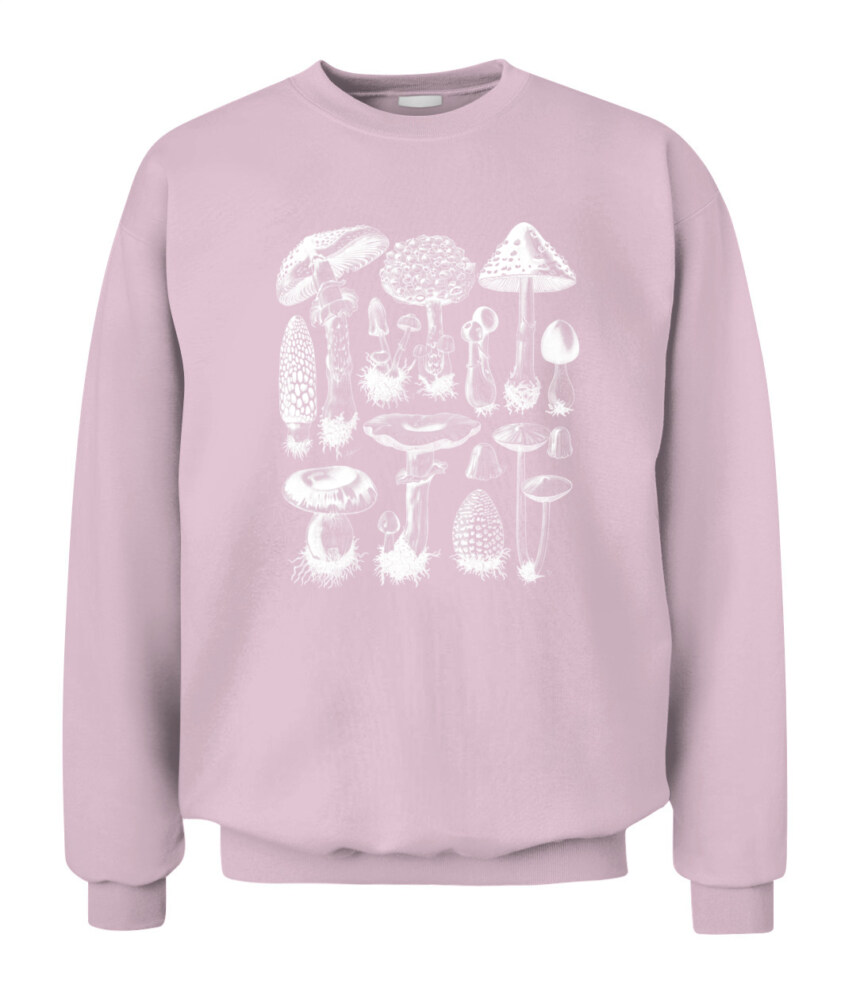 Property of Mushroom Research Unit – Vintage Fungi Specimen Art