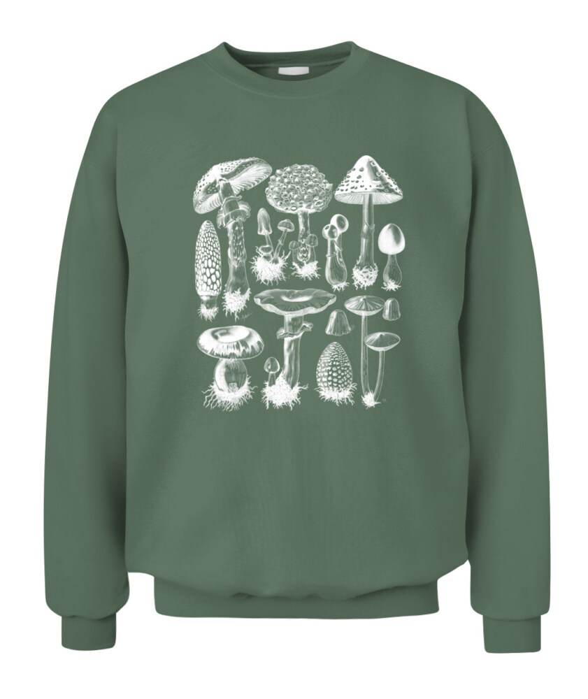 Property of Mushroom Research Unit – Vintage Fungi Specimen Art