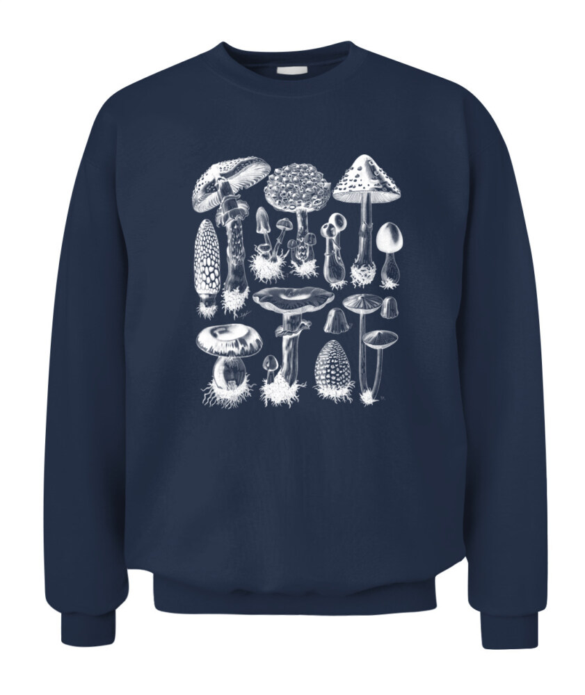 Property of Mushroom Research Unit – Vintage Fungi Specimen Art