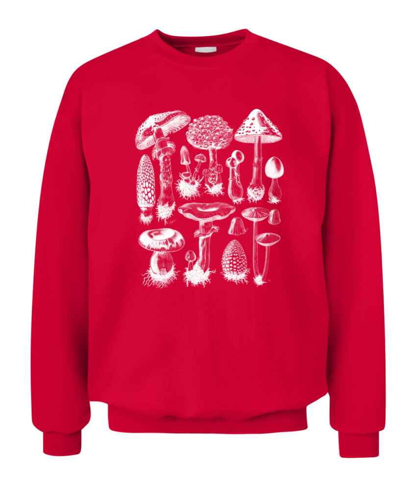 Property of Mushroom Research Unit – Vintage Fungi Specimen Art