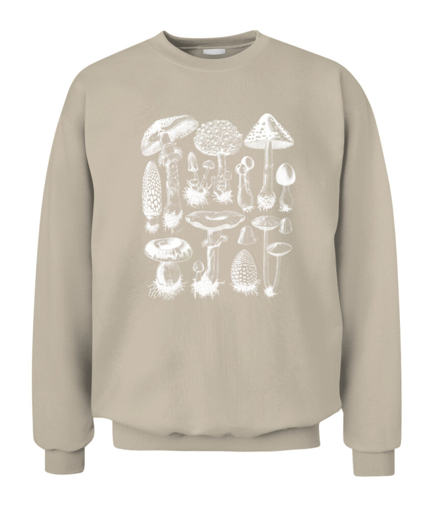 Property of Mushroom Research Unit – Vintage Fungi Specimen Art