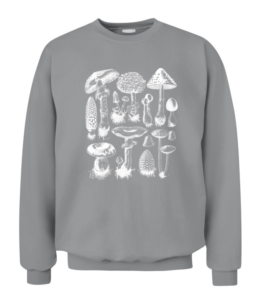 Property of Mushroom Research Unit – Vintage Fungi Specimen Art