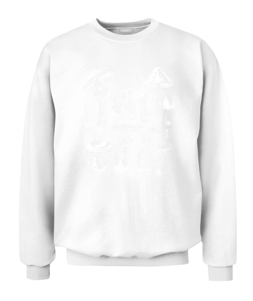 Property of Mushroom Research Unit – Vintage Fungi Specimen Art