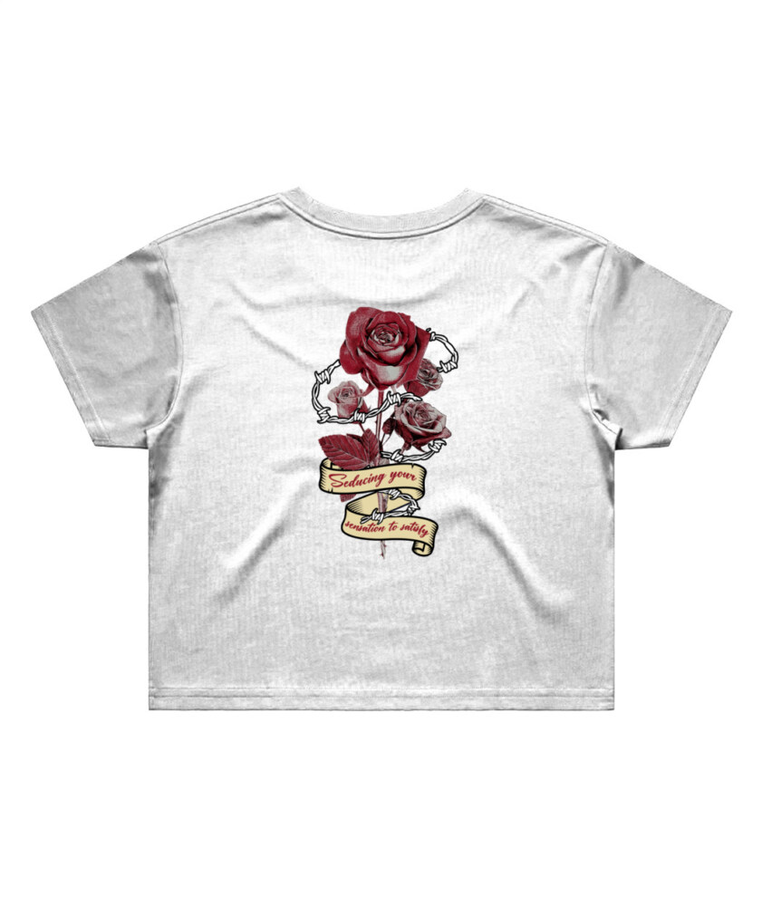 Word Play cropped t-shirt