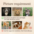 https://d1ud88wu9m1k4s.cloudfront.net/product_media/2026/03/21/A2104_4in8LWEBhP2tA82evwmQ8WcQg_1774083862208.png