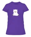 https://d1ud88wu9m1k4s.cloudfront.net/products/A27075/3mgdv1qfbtuqb1mj7pohvinhof/1oj3bnj5nc2s8276vcoomh10ml-USNL3900-purple-rush-front.jpg?v=1698368205953
