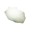 https://d1ud88wu9m1k4s.cloudfront.net/products/a6acdb554021d8db7da757126ffd7c3b/1782202411974-20a359f37b61d1c75efcb6570d8f3ec6.jpg