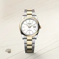 https://d1ud88wu9m1k4s.cloudfront.net/products/f37ab64486df7d61dfa697f60a1d0b8c/1777437185875-82a83a9ab2f4dbec84334de3728d851d.jpg