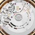 https://d1ud88wu9m1k4s.cloudfront.net/products/f37ab64486df7d61dfa697f60a1d0b8c/1777437185875-d32fac90bee347bdd727eb2b241a428d.jpg