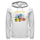 Men's Pokemon Eeveelutions  Adult Pull Over Hoodie