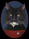 Men's Star Trek: The Next Generation Number One Commander William T Riker Cat  Adult T-Shirt