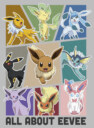 Men's Pokemon All About Eevee Eeveeloution  Adult T-Shirt