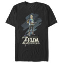 Men's Nintendo Legend of Zelda Princess Oil Paint  Adult T-Shirt