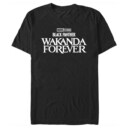 Men's Marvel: Black Panther: Wakanda Forever Black and White Movie Logo  Adult T-Shirt