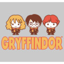 Men's Harry Potter Gryffindor Best Friends  Adult Sweatshirt