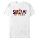 Men's Shazam! Fury of the Gods Movie Logo  Adult T-Shirt