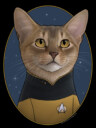Men's Star Trek: The Next Generation Lieutenant Barclay Cat  Adult T-Shirt