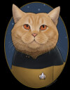 Men's Star Trek: The Next Generation Lieutenant O'Brien Cat  Adult T-Shirt