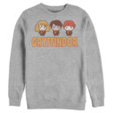Men's Harry Potter Gryffindor Best Friends  Adult Sweatshirt