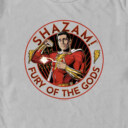 Men's Shazam! Fury of the Gods Hero Circle  Adult T-Shirt