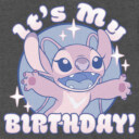 Men's Lilo & Stitch Angel It's My Birthday  Adult T-Shirt
