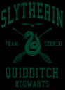 Men's Harry Potter Slytherin Quidditch Team Seeker  Adult Pull Over Hoodie