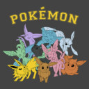 Men's Pokemon Eeveelutions  Adult Sweatshirt