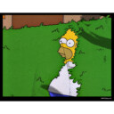 Men's The Simpsons Homer Bush  Adult Pull Over Hoodie