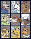 Men's Pound Puppies Character Box  Adult T-Shirt