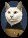 Men's Star Trek: The Next Generation Commander Data Cat  Adult T-Shirt