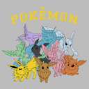 Men's Pokemon Eeveelutions  Adult Pull Over Hoodie