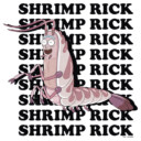 Men's Rick And Morty Shrimp Rick Name Stack  Adult T-Shirt