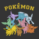 Men's Pokemon Eeveelutions  Adult Pull Over Hoodie
