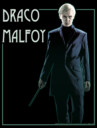 Men's Harry Potter Draco Malfoy Simple Framed Portrait  Adult T-Shirt
