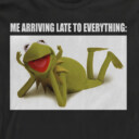 Men's The Muppets Kermit Meme  Adult Long Sleeve Shirt