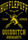 Men's Harry Potter Hufflepuff Quidditch Seeker  Adult Sweatshirt