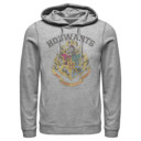Men's Harry Potter Vintage Hogwarts Crest  Adult Pull Over Hoodie