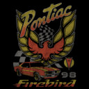 Men's General Motors Retro Pontiac Firebird Logo  Adult Pull Over Hoodie