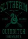Men's Harry Potter Slytherin Quidditch Team Seeker  Adult Sweatshirt