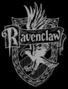 Men's Harry Potter Ravenclaw Line Art Crest  Adult Pull Over Hoodie