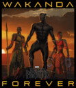 Men's Marvel Black Panther 2018 Wakanda Forever  Adult T-Shirt