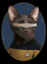 Men's Star Trek: The Next Generation Lieutenant Commander Geordi La Forge Cat  Adult T-Shirt