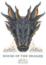 Men's Game of Thrones: House of the Dragon Skull of the Dragon Flames  Adult T-Shirt
