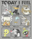 Men's Looney Tunes Today I Feel� Character Moods  Adult T-Shirt