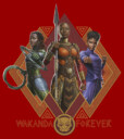 Men's Marvel: Black Panther: Wakanda Forever Okoye Shuri and Nakia Portraits  Adult T-Shirt