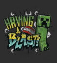 Men's Minecraft Having a Blast  Adult T-Shirt