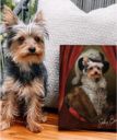 Pet Portrait Print