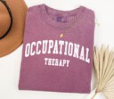 Retro Occupational Therapy Shirt, OT Shirt, Special Education Shirt, Cute Therapist Gift, Aesthetic Therapy Shirt, Sped Teacher Gift